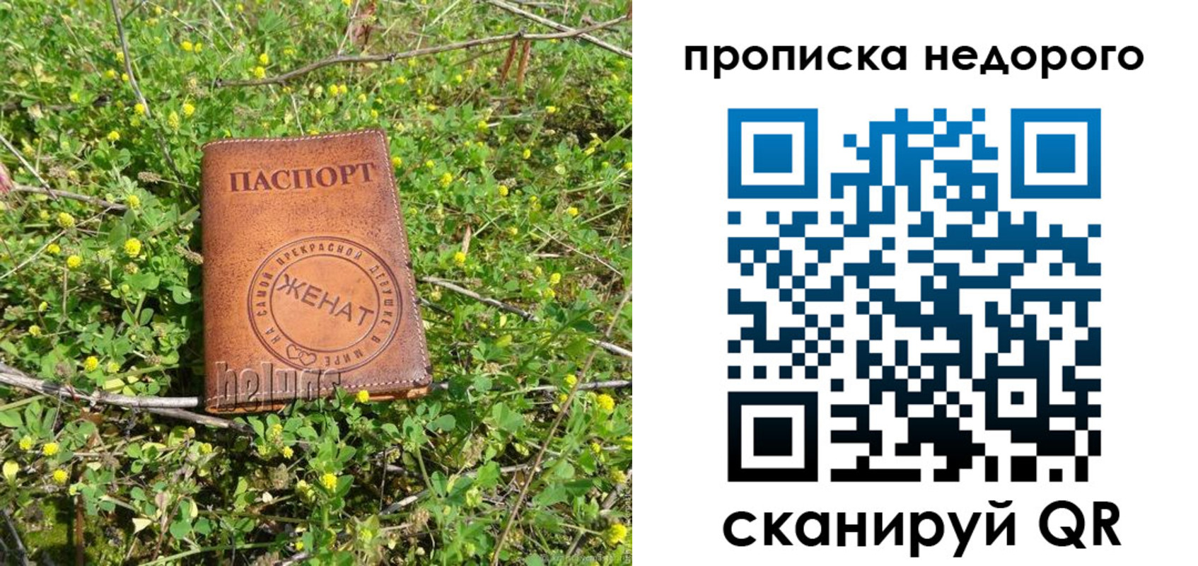 регистрация для дет. сада в Зверево